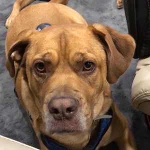 Meet your Posher, Shelly